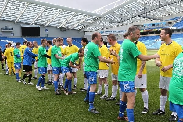Brighton & Hove Albion: Play on the Pitch - American Express Community Stadium, 30 April 2015