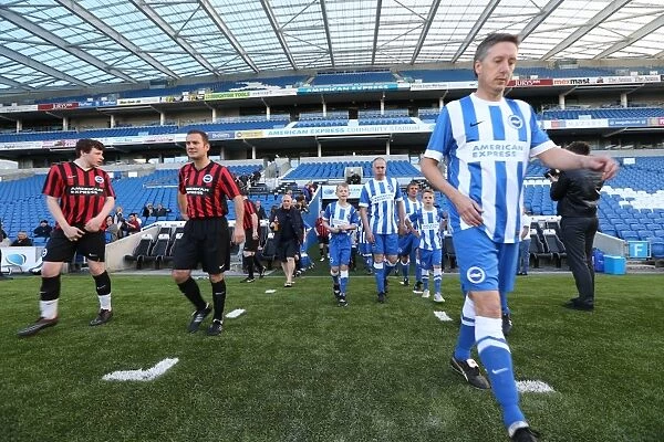 Brighton & Hove Albion: Play on the Pitch - A Historic Moment at the American Express Community Stadium (30 April 2015)