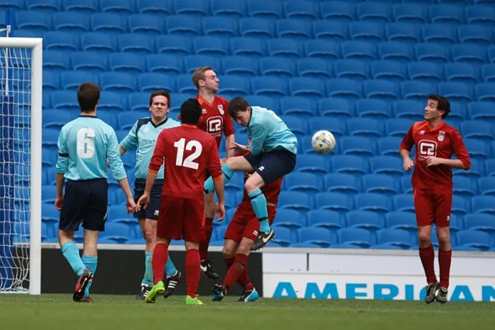 Framed Print : Brighton & Hove Albion: Ten Players in Action (May 1, 2015)