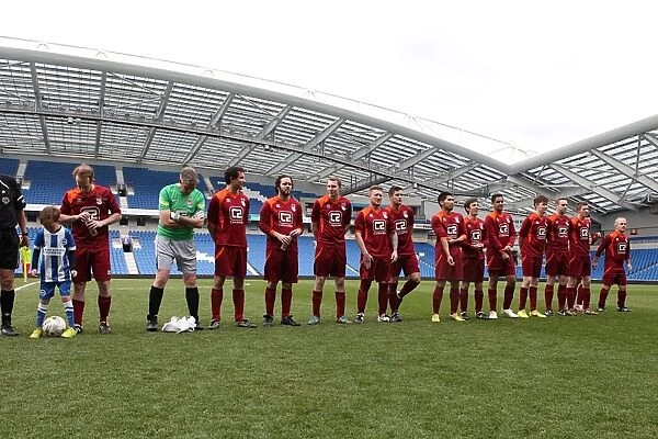 Brighton & Hove Albion: Ten Players in Action on Pitch (May 1, 2015)