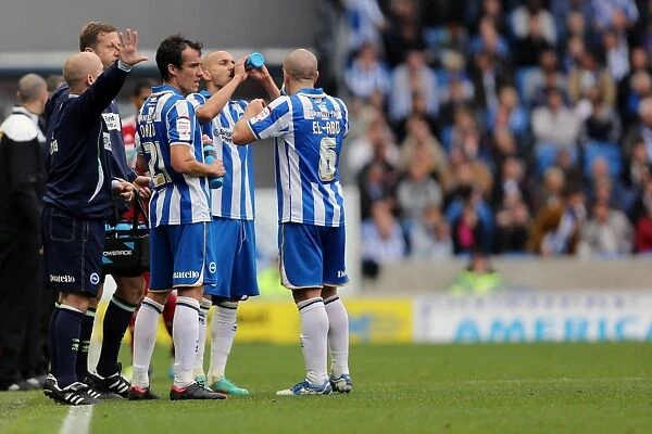 Brighton & Hove Albion: Re-Living the Thrill - Home Game vs. Middlesbrough (October 20, 2012)
