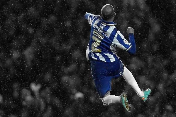 Brighton & Hove Albion: Reliving the 2012-13 Home Game Against Bolton Wanderers