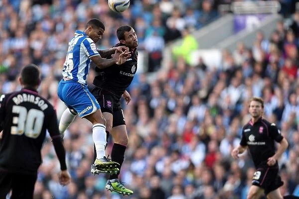 Brighton & Hove Albion: Revisiting the Thrill of the 2012-13 Season - Home Match against Birmingham City (September 29, 2012)