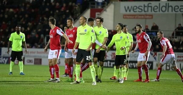 Brighton and Hove Albion Take on Rotherham United in Championship Clash (12JAN16)