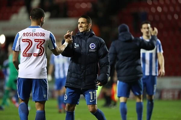 Brighton and Hove Albion Take on Rotherham United in EFL Sky Bet Championship Clash (07MAR17)