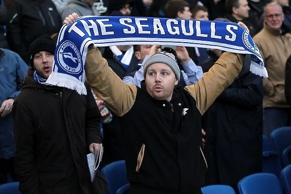 Brighton & Hove Albion: Thrilling Crowd Moments at The Amex (2012-2013)