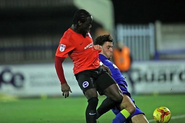 Brighton and Hove Albion U23s Face Off Against AFC Wimbledon in EFL Trophy Clash (6DEC16)