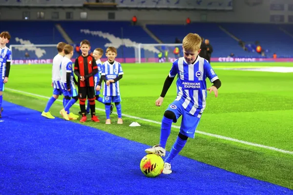 Brighton and Hove Albion v Bournemouth Premier League. Art Prints