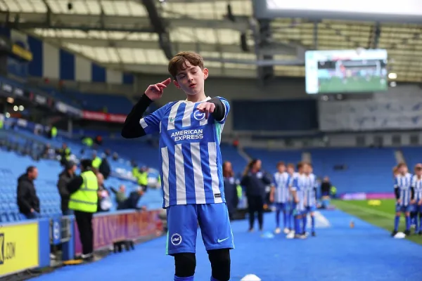 Brighton and Hove Albion v Crystal Palace Premier League. Art