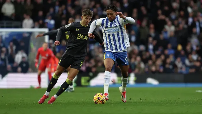 Framed Print : Brighton and Hove Albion v Everton Premier League 25JAN25