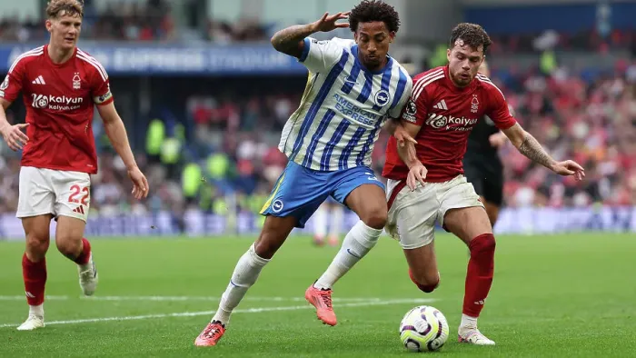 Framed Print : Brighton and Hove Albion v Nottingham Forest Premier League 22SEP24 Framed Print : Brighton and Hove Albion v Nottingham Forest Premier League 22SEP24