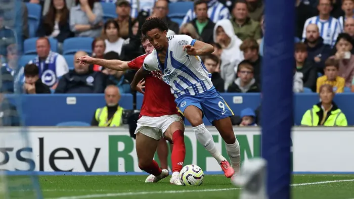 Framed Print : Brighton and Hove Albion v Nottingham Forest Premier League 22SEP24 Framed Print : Brighton and Hove Albion v Nottingham Forest Premier League 22SEP24