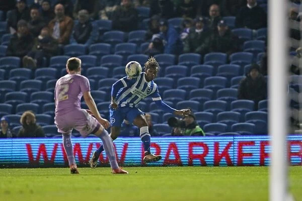 Brighton and Hove Albion v Reading Sky Bet Championship 15  /  03  /  2016