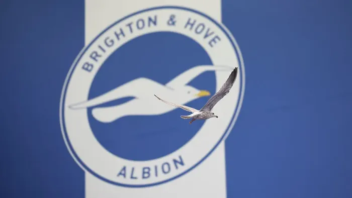 Framed Print : Brighton and Hove Albion v Wolverhampton Wanderers Premier League 26OCT24 Framed Print : Brighton and Hove Albion v Wolverhampton Wanderers Premier League 26OCT24
