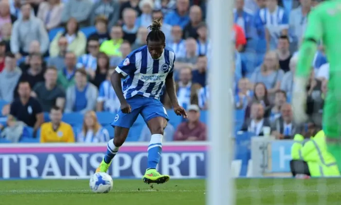 Framed Print : Brighton and Hove Albion vs. Hull City: Sky Bet Championship Showdown at American Express Community Stadium (September 12, 2015) Framed Print : Brighton and Hove Albion vs. Hull City: Sky Bet Championship Showdown at American Express Community Stadium (September 12, 2015)