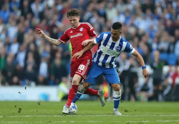 Framed Print : Brighton and Hove Albion vs. Cardiff City: Sky Bet Championship Showdown at American Express Community Stadium (October 3, 2015) Framed Print : Brighton and Hove Albion vs. Cardiff City: Sky Bet Championship Showdown at American Express Community Stadium (October 3, 2015)