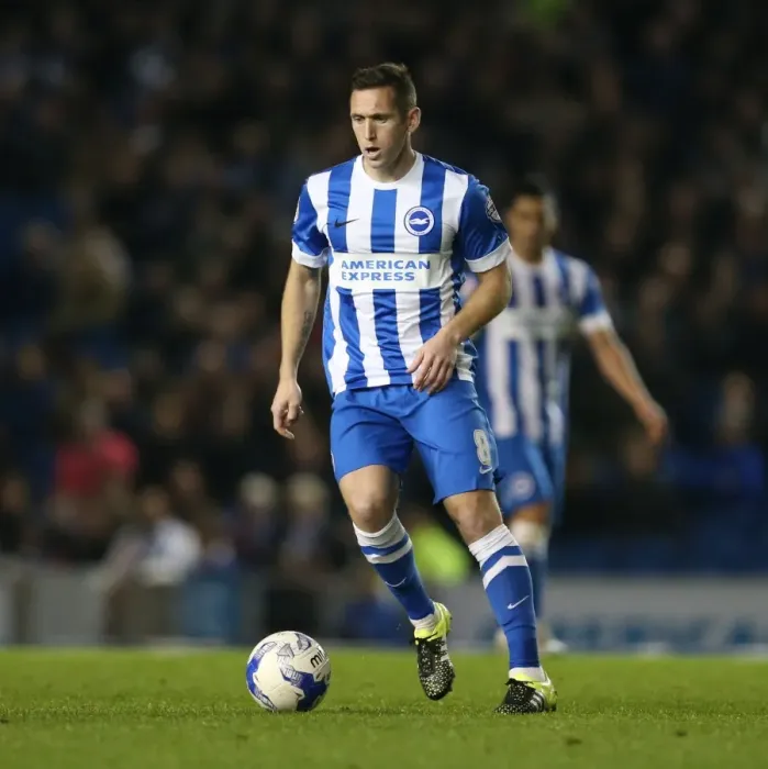 Framed Print : Brighton and Hove Albion vs. Bristol City: Sky Bet Championship Showdown at American Express Community Stadium (October 2015) Framed Print : Brighton and Hove Albion vs. Bristol City: Sky Bet Championship Showdown at American Express Community Stadium (October 2015)