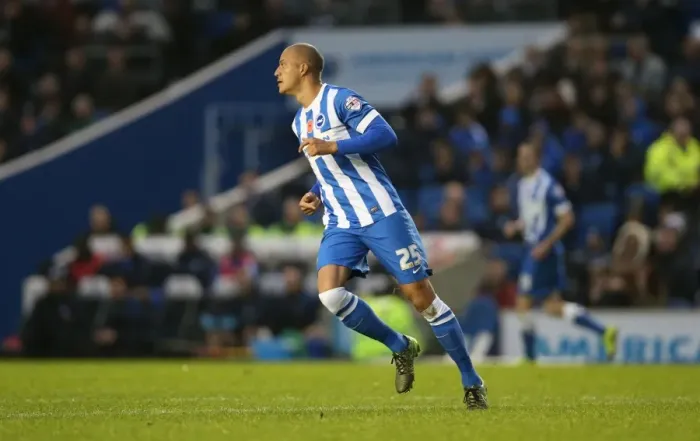 Framed Print : Brighton and Hove Albion vs. Milton Keynes Dons: Sky Bet Championship Showdown at American Express Community Stadium (07.11.2015)