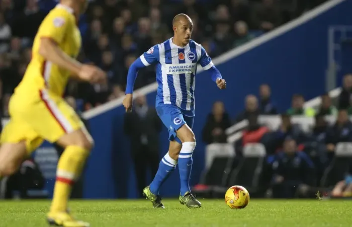 Framed Print : Brighton and Hove Albion vs. Milton Keynes Dons: Sky Bet Championship Showdown at American Express Community Stadium (07.11.2015)
