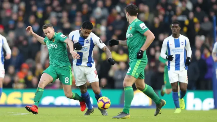 Framed Print : Brighton and Hove Albion vs. Watford: Premier League Showdown at American Express Community Stadium (02FEB19) Framed Print : Brighton and Hove Albion vs. Watford: Premier League Showdown at American Express Community Stadium (02FEB19)