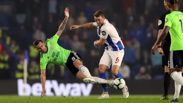 Framed Print : Brighton and Hove Albion vs. Cardiff City: Premier League Battle at American Express Community Stadium (16th April 2019)