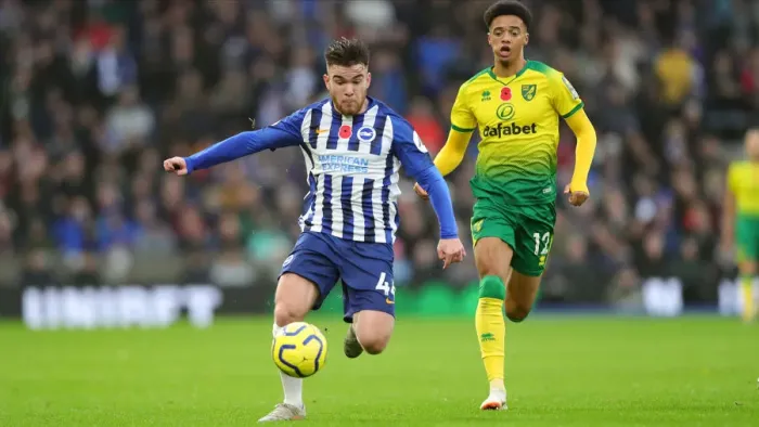 Framed Print : Brighton and Hove Albion vs. Norwich City: Premier League Showdown at American Express Community Stadium (November 2, 2019)