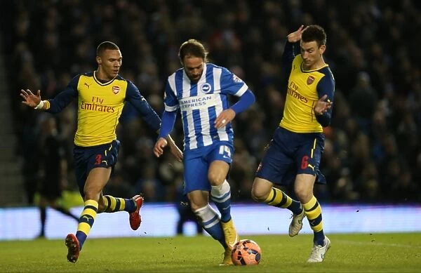 Brighton & Hove Albion vs Arsenal: Inigo Calderon in FA Cup Battle (25.01.15)