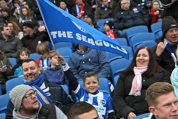 Brighton & Hove Albion vs Arsenal: A Fight for Victory (25 January 2015)