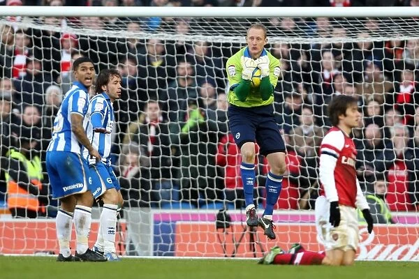 Brighton & Hove Albion vs Arsenal (2012-13): A Glance at Our Past - Arsenal Home Game