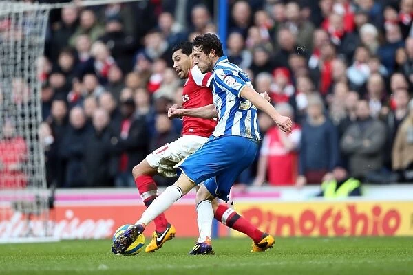 Brighton & Hove Albion vs Arsenal (2012-13 Home Game)