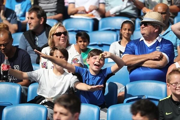 Brighton and Hove Albion vs Atletico de Madrid: A Sea of Passionate Fans at the 2017 Pre-Season Friendly