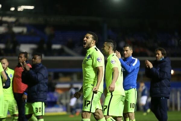 Brighton and Hove Albion vs. Birmingham City: A Fight in the Sky Bet Championship (05 / 04 / 2016)