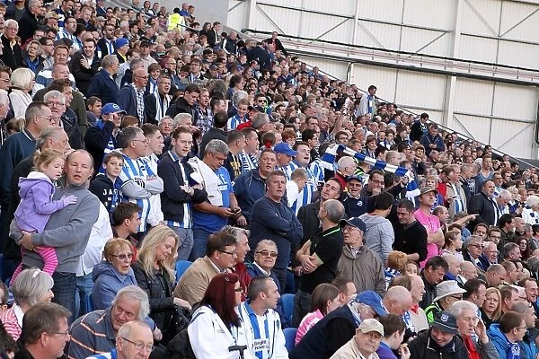 Brighton & Hove Albion vs Birmingham City: 2012-13 Home Game