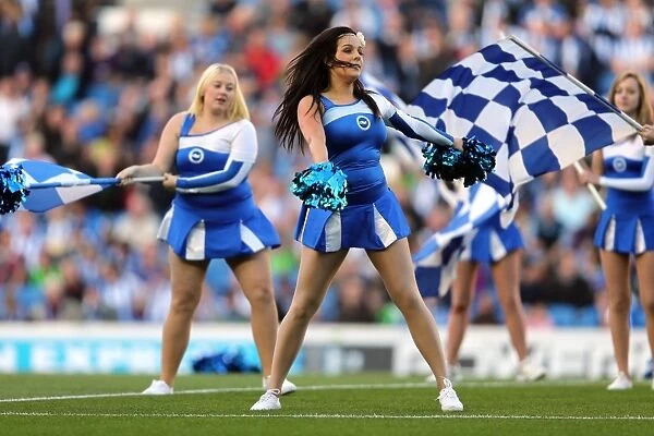 Brighton & Hove Albion vs Birmingham City: 2012-13 Home Game Highlights