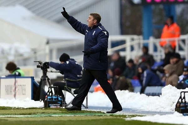 Brighton & Hove Albion vs. Birmingham City: Away Game - January 19, 2013 (Season 2012-13)