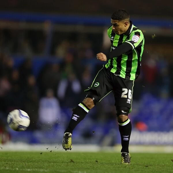 Brighton & Hove Albion vs. Birmingham City: A Glance at the 2012-13 Away Game (19-01-2013)