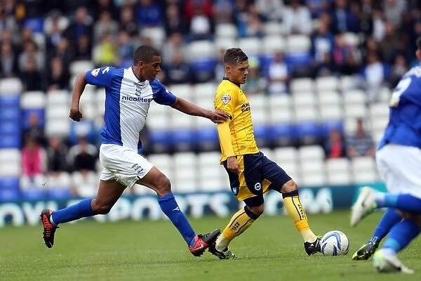 Brighton & Hove Albion vs. Birmingham City: Away Game (2013-14 Season)