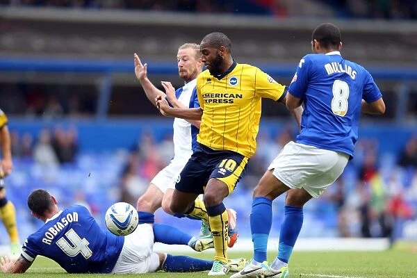 Brighton & Hove Albion vs. Birmingham City: Away Game (2013-14 Season)