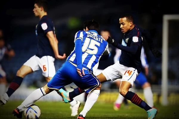 Brighton & Hove Albion vs. Blackburn Rovers: A Memorable 2012-13 Home Game
