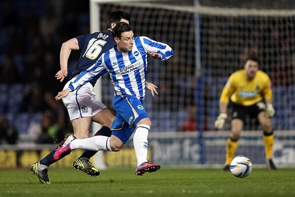 Brighton & Hove Albion vs. Blackburn Rovers: A Historic 2012-13 Home Match
