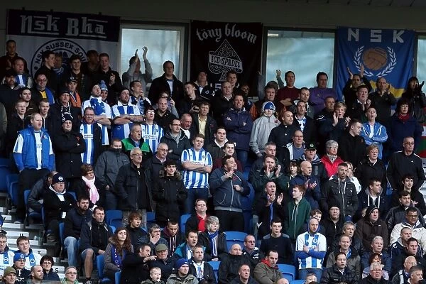 Brighton & Hove Albion vs. Blackburn Rovers (2013-14): A Home Game