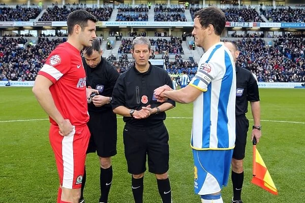 Brighton & Hove Albion vs. Blackburn Rovers (2013-14 Season): A Home Game