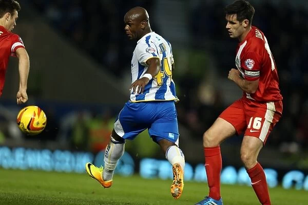 Brighton & Hove Albion vs. Blackburn Rovers (2013-14): A Home Game