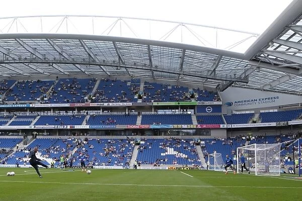 Brighton & Hove Albion vs. Blackpool: 2014-15 Season Home Game