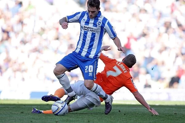 Brighton & Hove Albion vs. Blackpool (2011-12): A Home Game