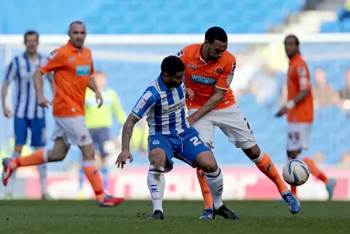 Framed Print : Brighton & Hove Albion vs. Blackpool: 2012-13 Home Game Framed Print : Brighton & Hove Albion vs. Blackpool: 2012-13 Home Game