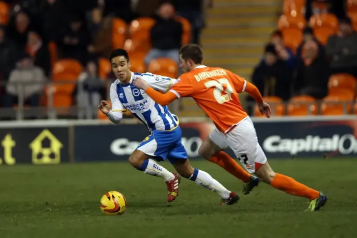 Framed Print : Brighton & Hove Albion vs. Blackpool - 29-12-2013: Away Game, 2013-14 Season