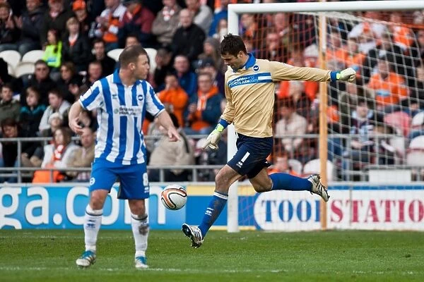 Brighton & Hove Albion vs. Blackpool: Away Game - March 19, 2012 (Season 2011-12)