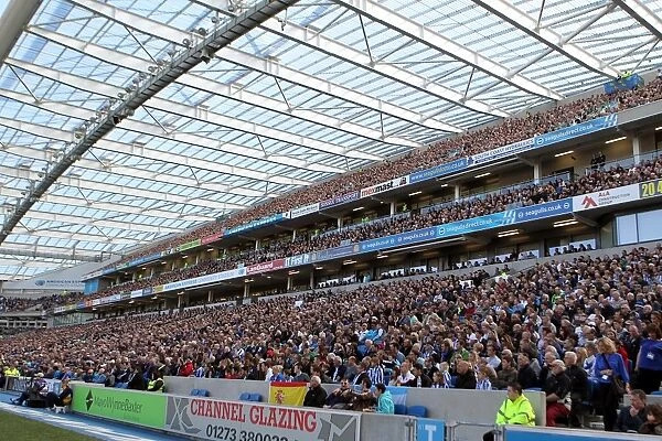 Brighton & Hove Albion vs. Blackpool (2012-13 Home Game)