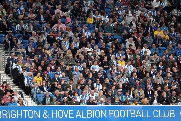 Brighton & Hove Albion vs. Blackpool: 21st April 2014 (Home Game)
